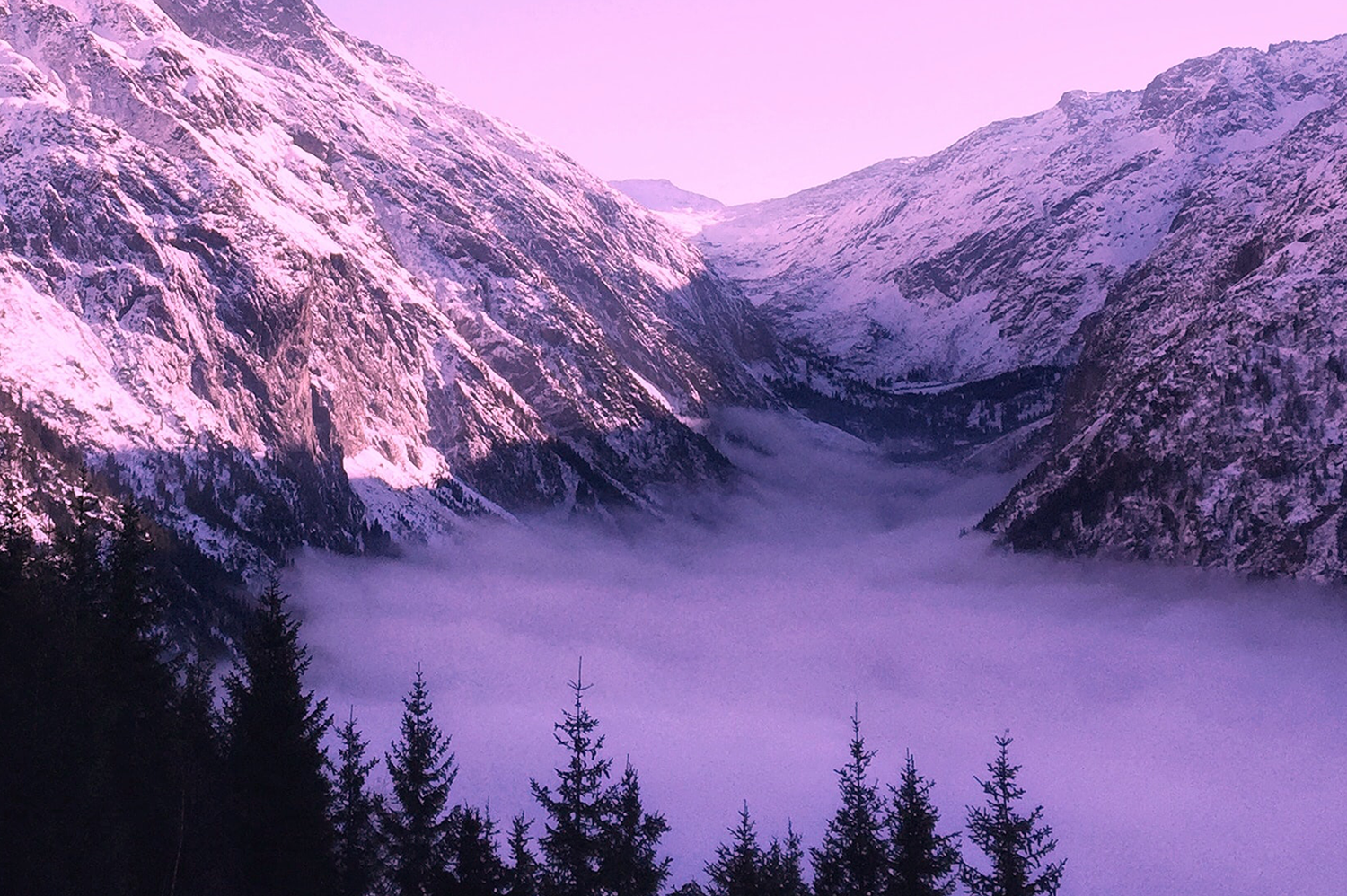 suisse